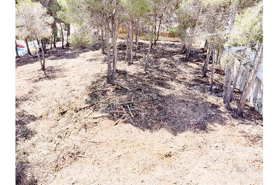 Wohngrundstück in Moraira zu verkaufen, Klimaanlage, Grundstück 2177 m², Pool, ref.: AM-12200DA-12