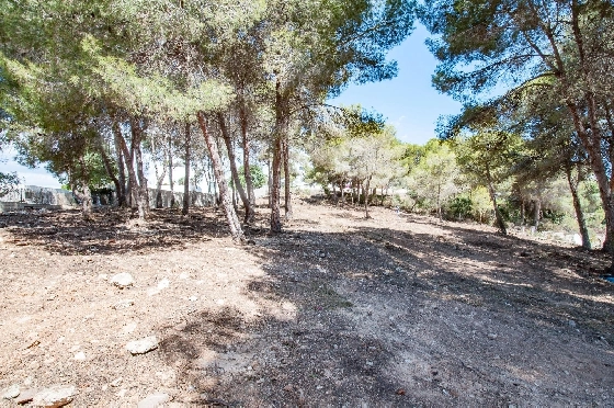 Wohngrundstück in Moraira zu verkaufen, Klimaanlage, Grundstück 2177 m², Pool, ref.: AM-12200DA-14