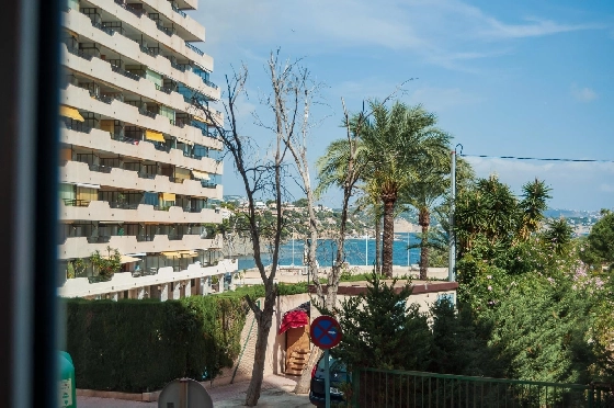 Apartment in Calpe(Playa de Fossa Levante) zu verkaufen, Wohnfläche 55 m², Klimaanlage, 1 Schlafzimmer, 1 Badezimmer, Pool, ref.: COB-3554-10535-2