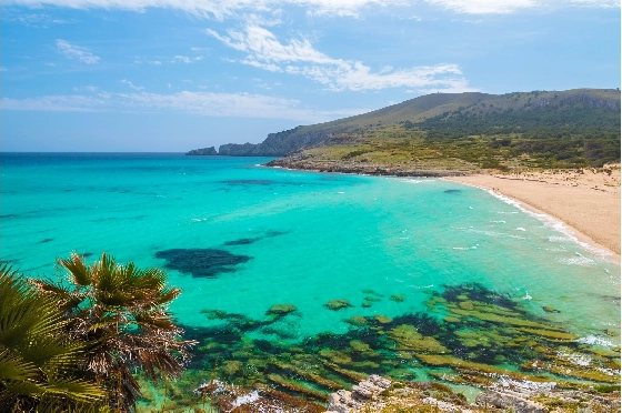 Stadthaus in Arta zu verkaufen, Wohnfläche 151 m², Grundstück 235 m², 3 Schlafzimmer, 3 Badezimmer, Pool, ref.: TW-AURA,-ARTà-21